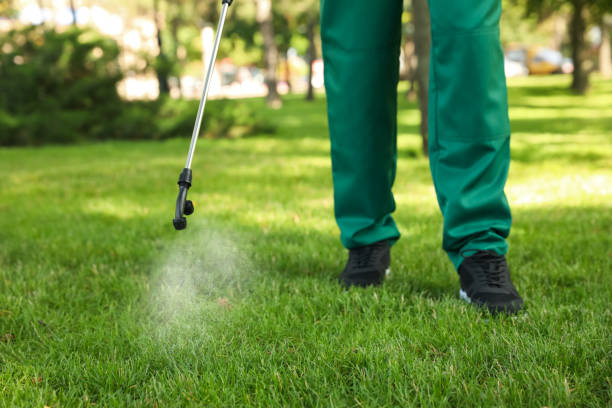 Best Wasp Removal Services  in Kingston, NY