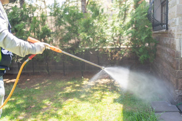 Trusted Kingston, NY Pest Control Experts